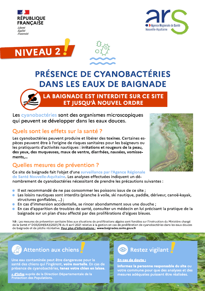 affiche niveau 2 cyanobactéries