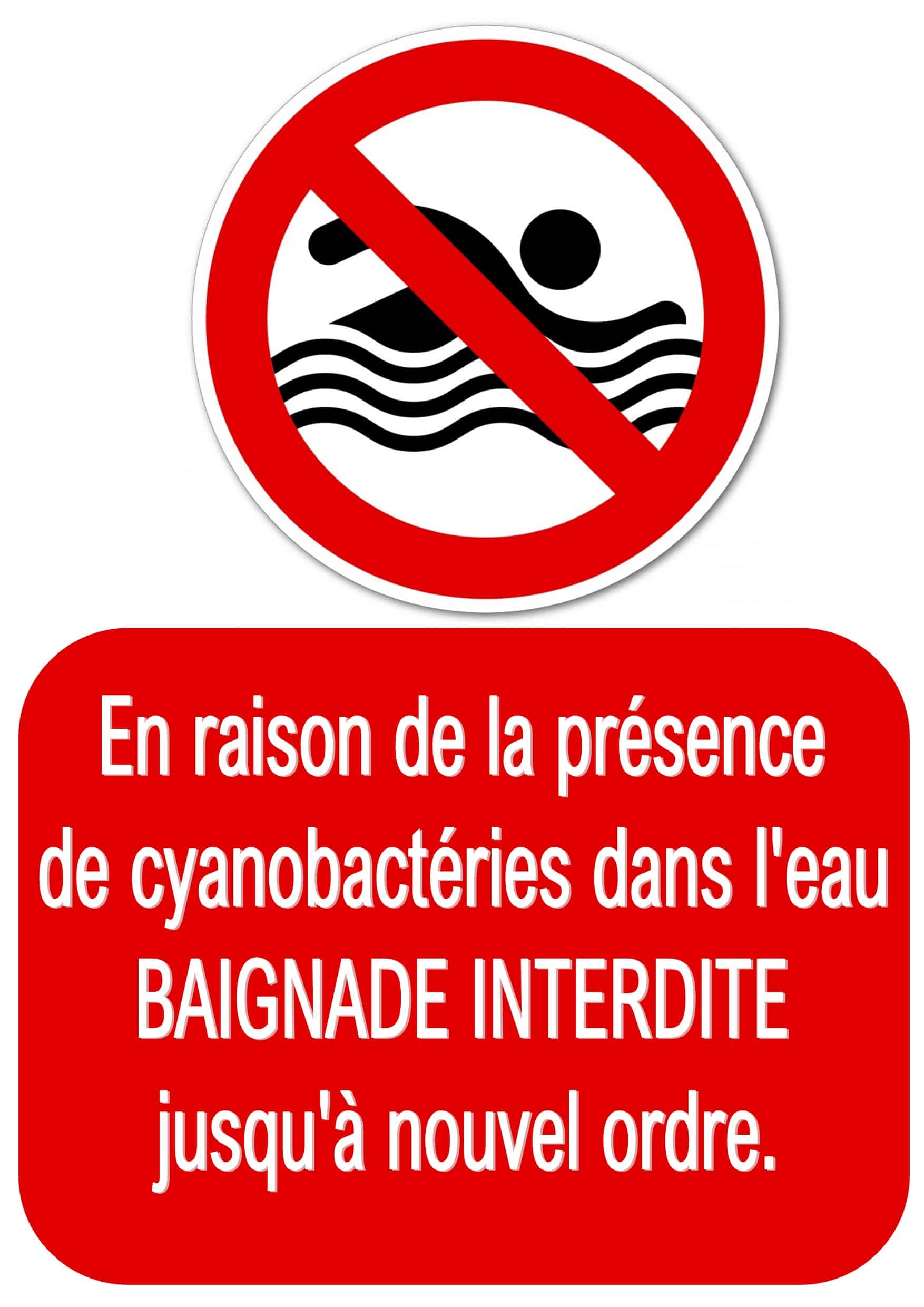 baignade interdite cyanobactéries