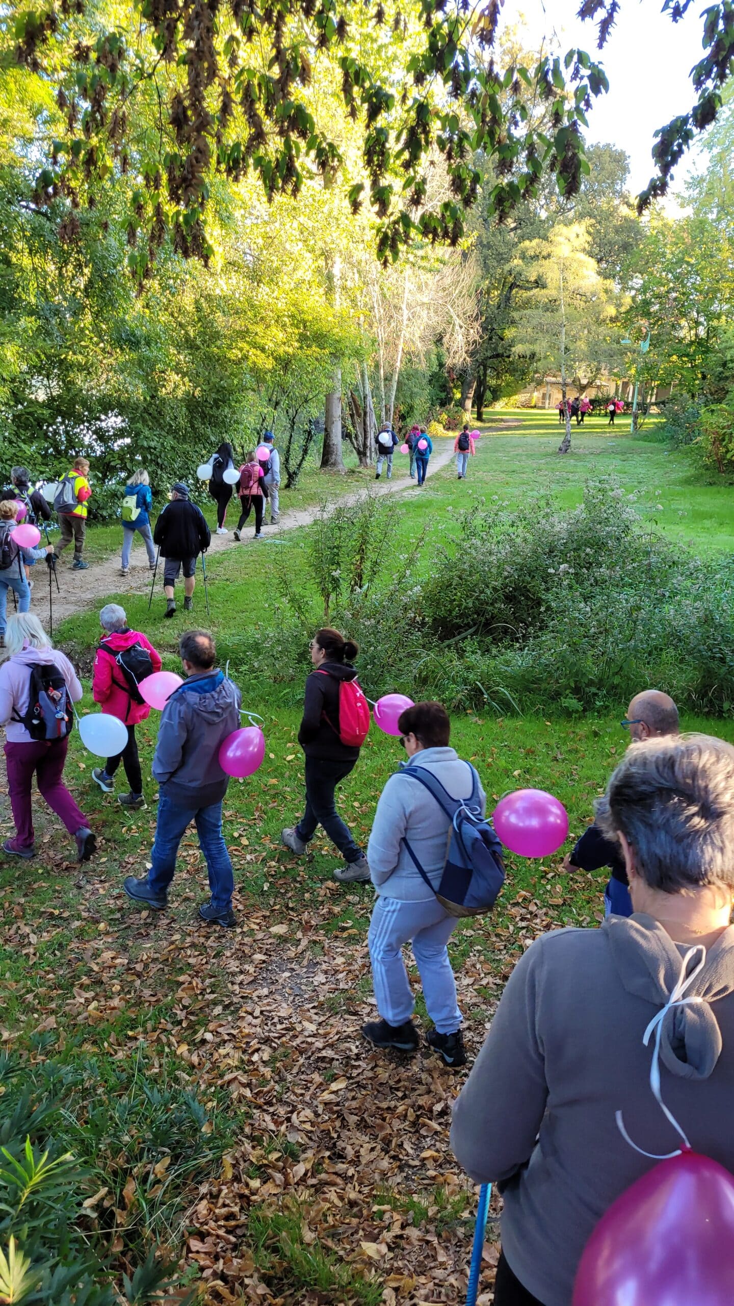 octobre rose pas seurin