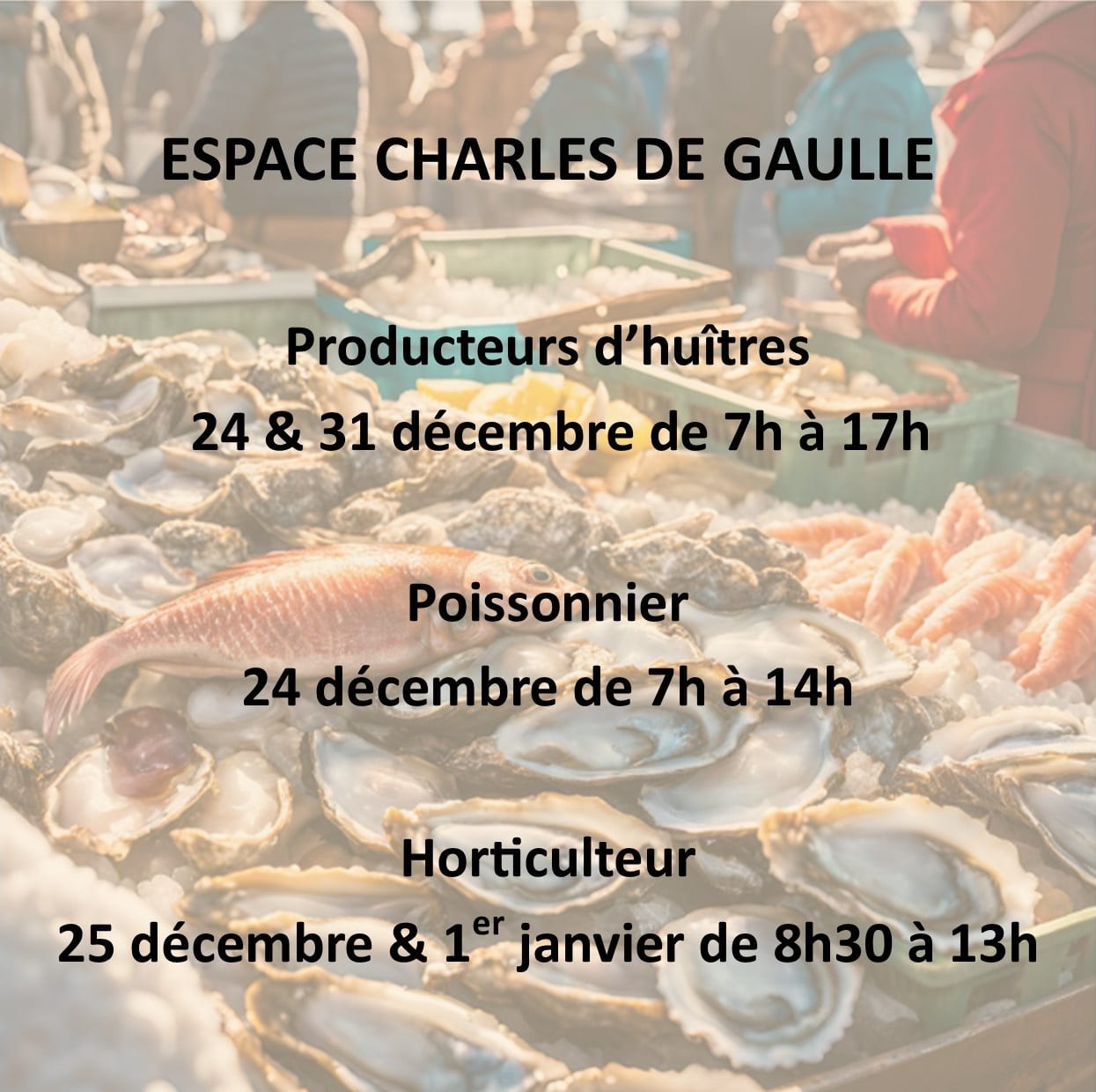 597397932_1303679555135968_1472610920464589896_n