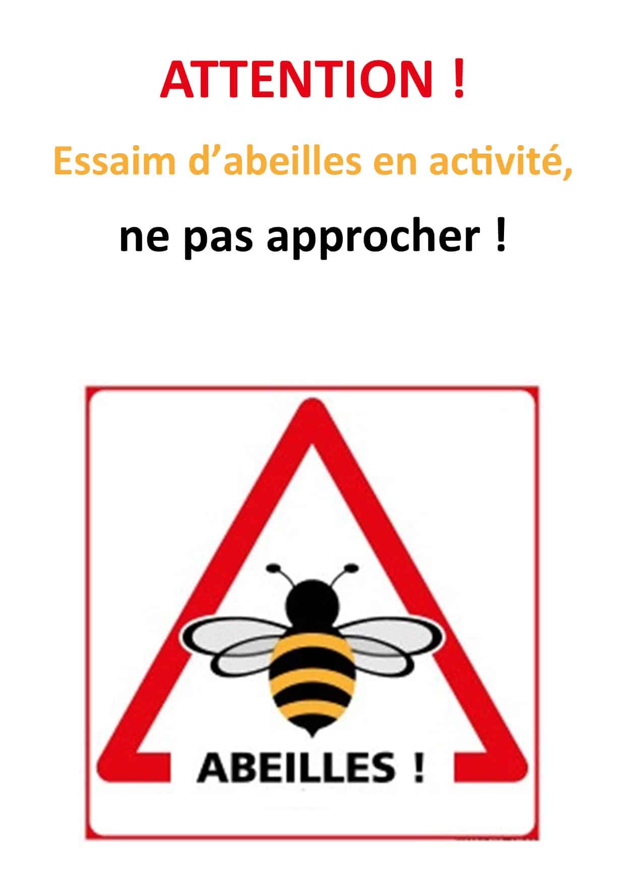 essaim abeilles