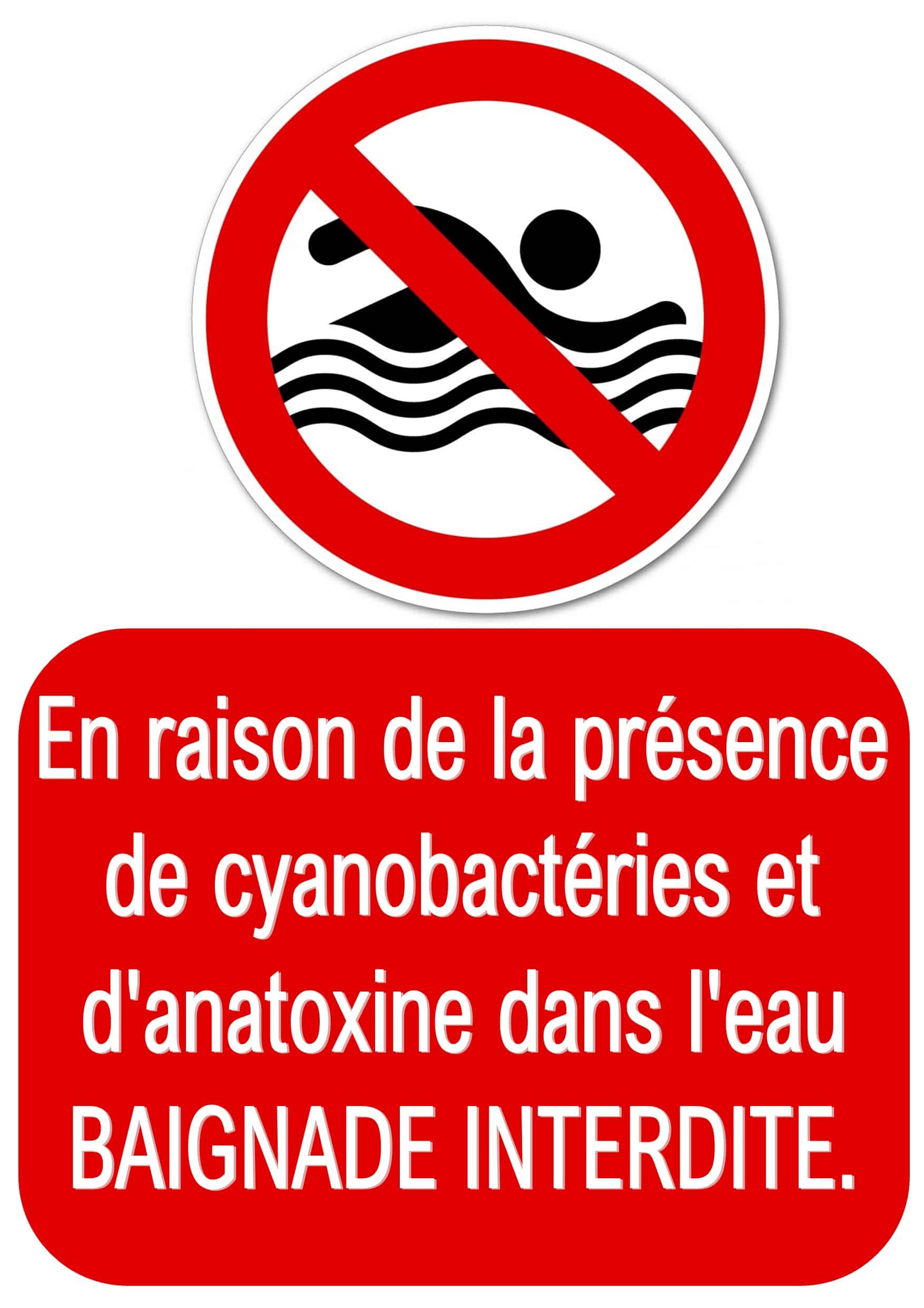 baignade interdite cyanobactéries et toxines