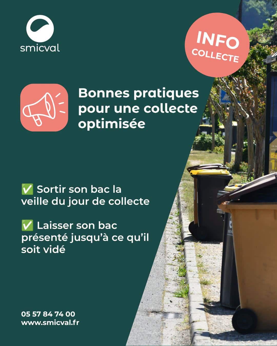 collectes estivales